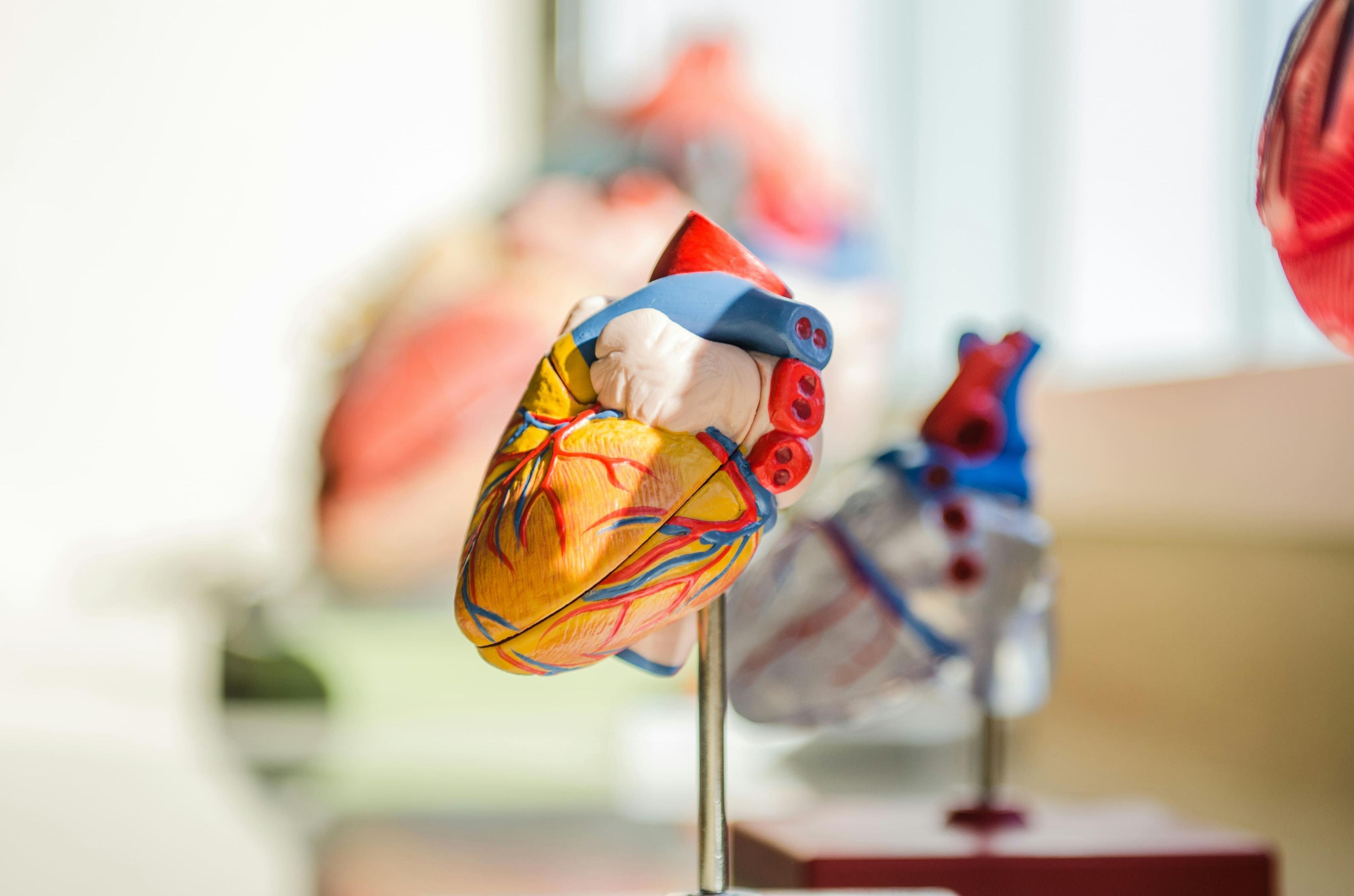 cardiovascular-placeholder.jpg